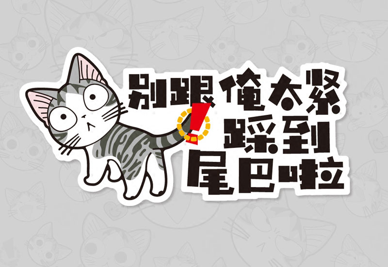 1530515131843830.jpg PP背膠.jpg