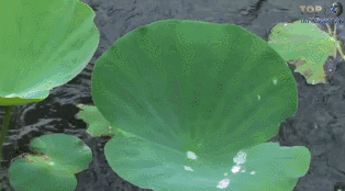 微信圖片_20201217153901.gif